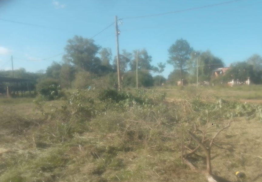 Terreno en zona Residencial