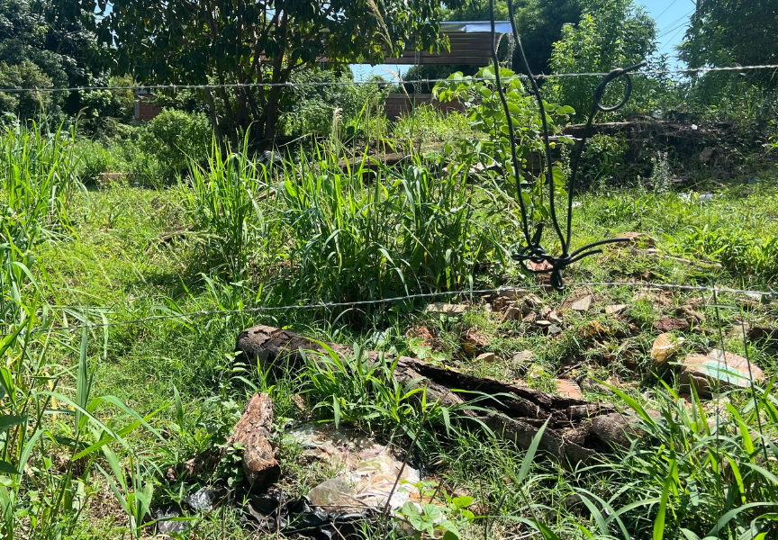 TERRENO SOBRE AV. BLAS PARERA