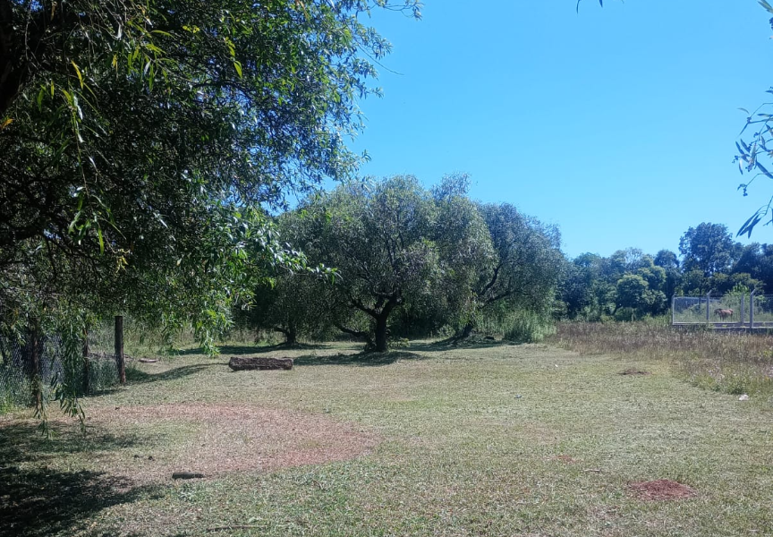 Lotes Sarandí - Candelaria