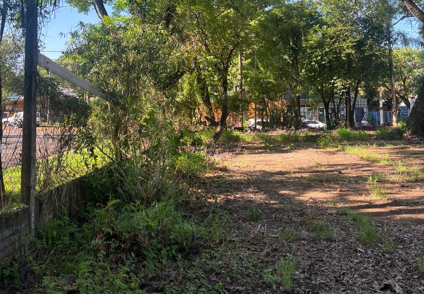 TERRENO ANDRESITO